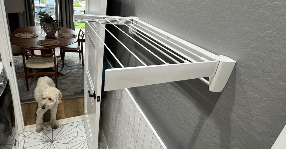 10 Totally Random Things Our Team Bought on Amazon Today