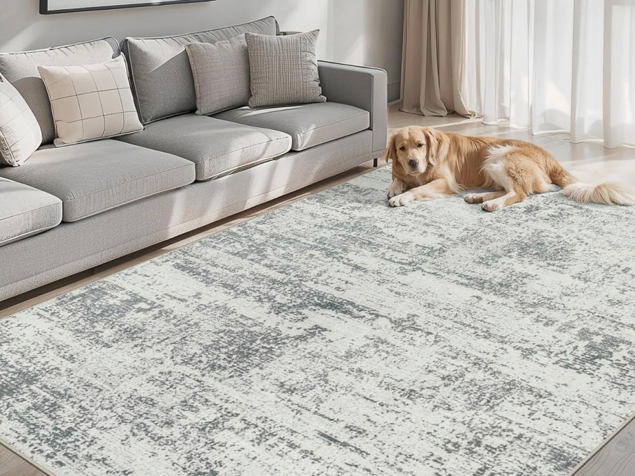 gray rug in front of couch