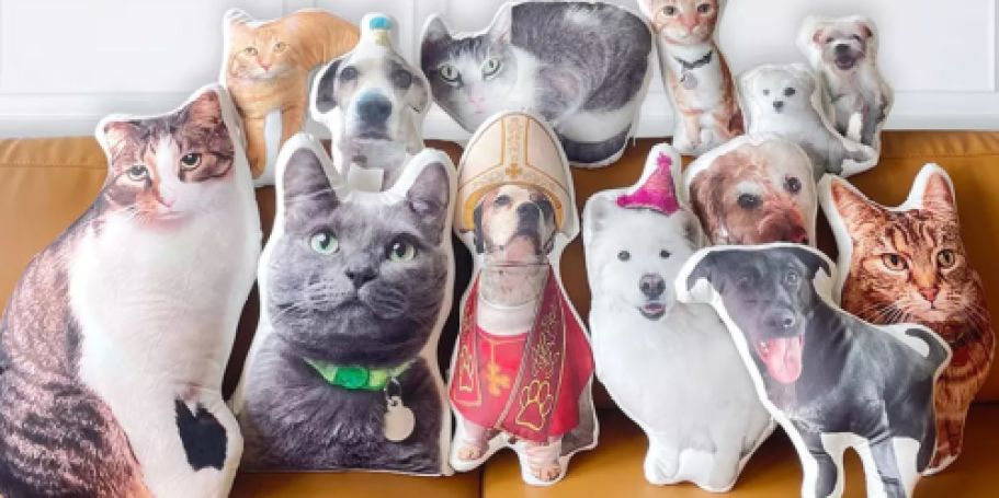 Custom Pet Pillows Just $20 Shipped – Great Gift Idea (Today Only!)