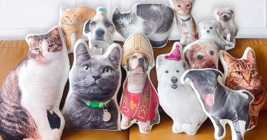 Custom Pet Pillows Just $20 Shipped – Great Gift Idea (Today Only!)