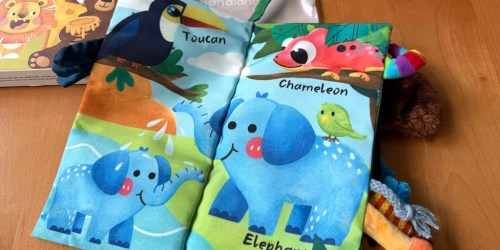 Baby Sensory Books Only $9.99 on Amazon (Reg. $20)