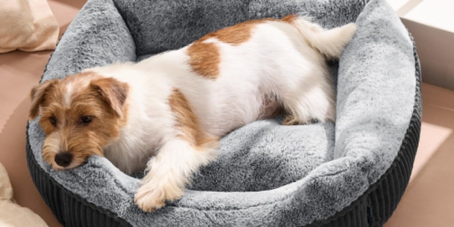 Plush Pet Bed Just $11.99 on Amazon (Reg. $33) – Super Soft & Washable