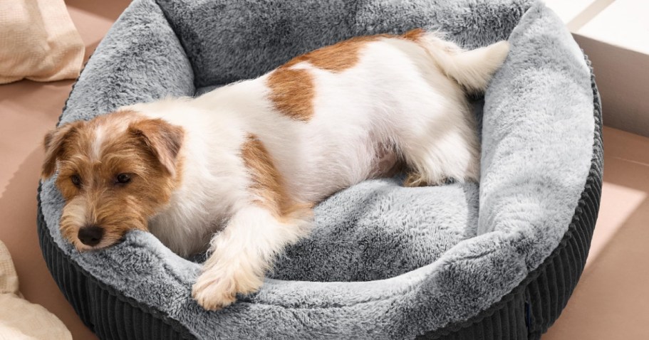 Plush Pet Bed Just $11.99 on Amazon (Reg. $33) – Super Soft & Washable
