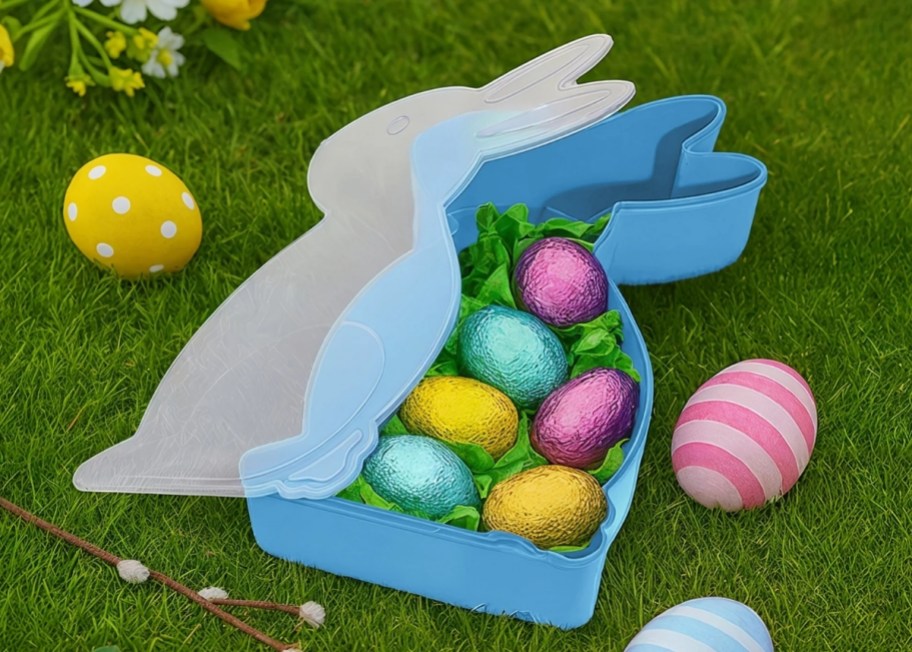a blue bunny-shaped plastic container