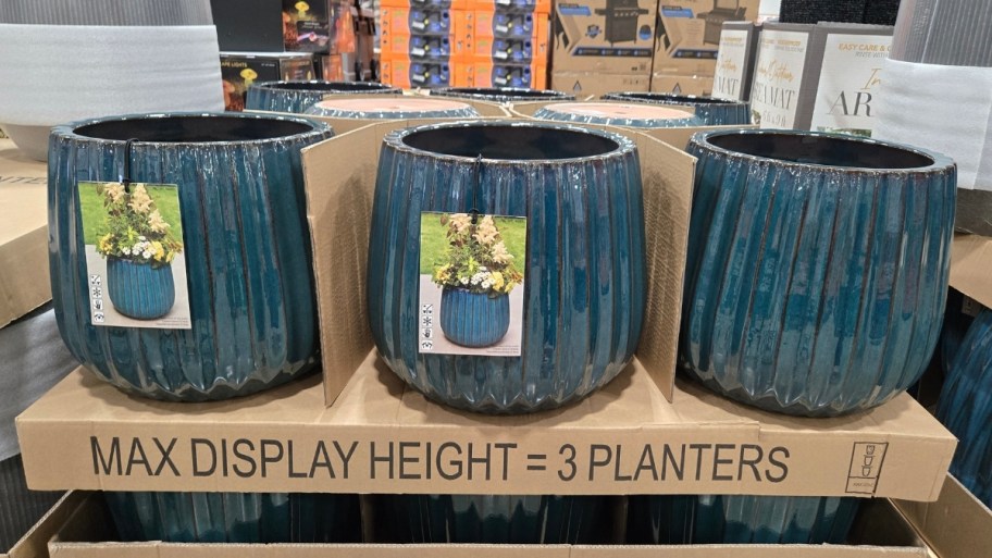 3 large blue planters