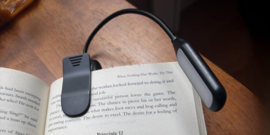 Rechargeable Clip-On Book Light Only $6.99 (Reg. $10)