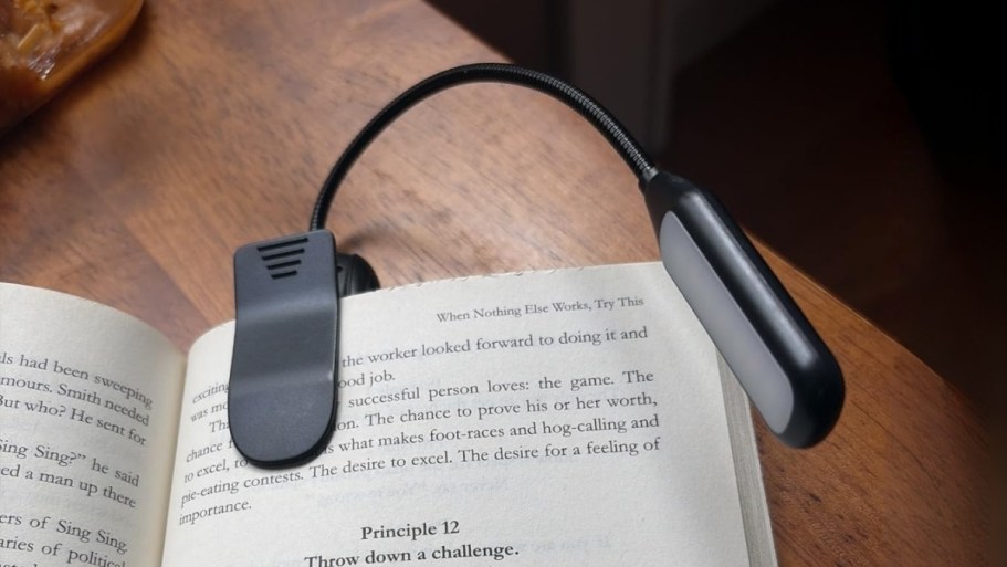 Rechargeable Clip-On Book Light Only $6.99 (Reg. $10)