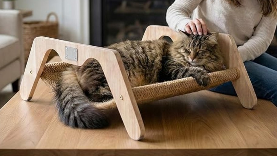 Cat Scratcher + Bed Combo Just $19.99 Shipped on Amazon (Reg. $46)