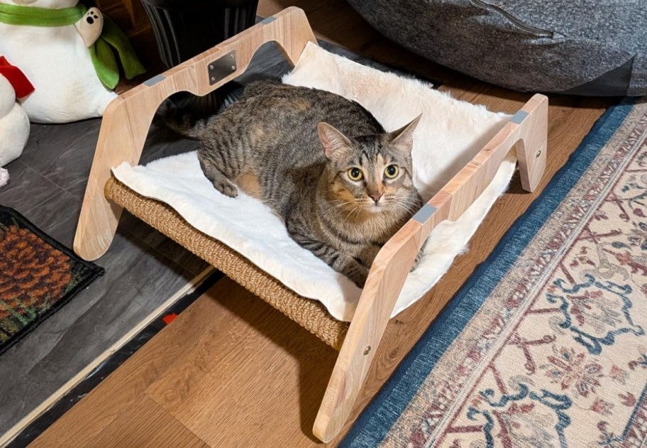 a brown tabby cat lounging on a cat bed