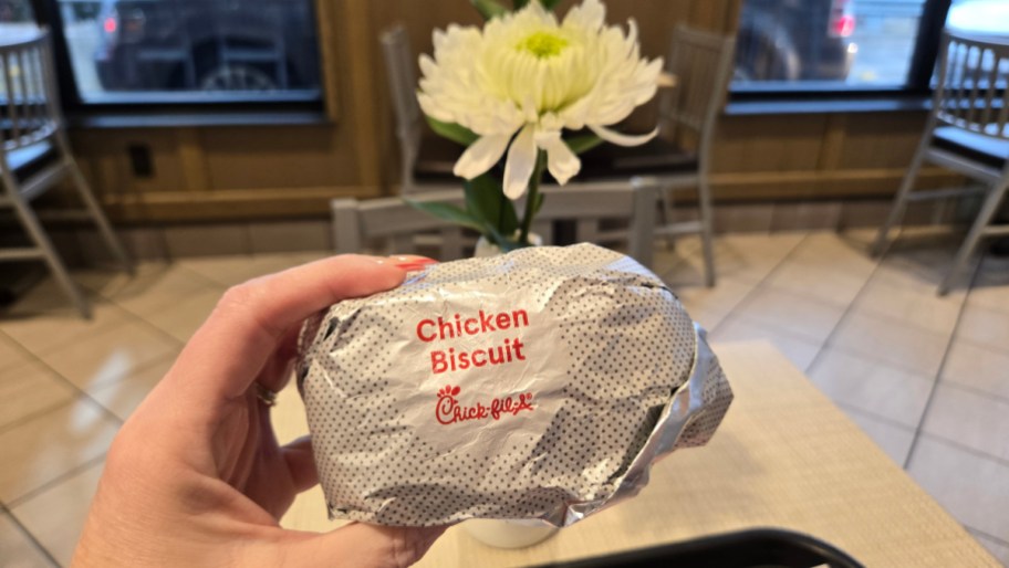 hand holding a chick fil a chicken biscuit