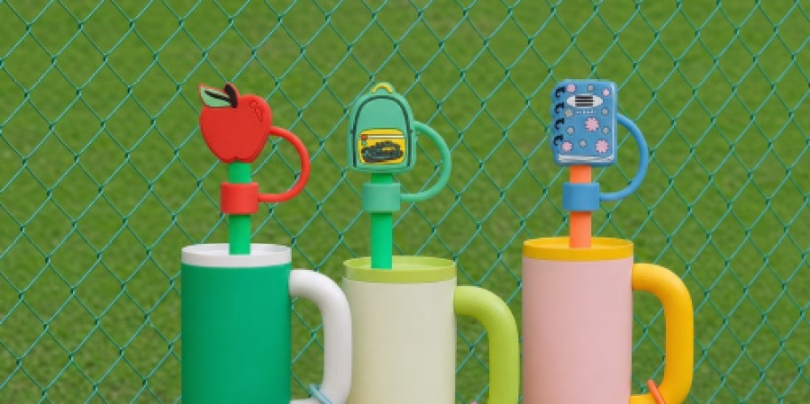 So Cute! UNDER $5 Straw Toppers at Walmart