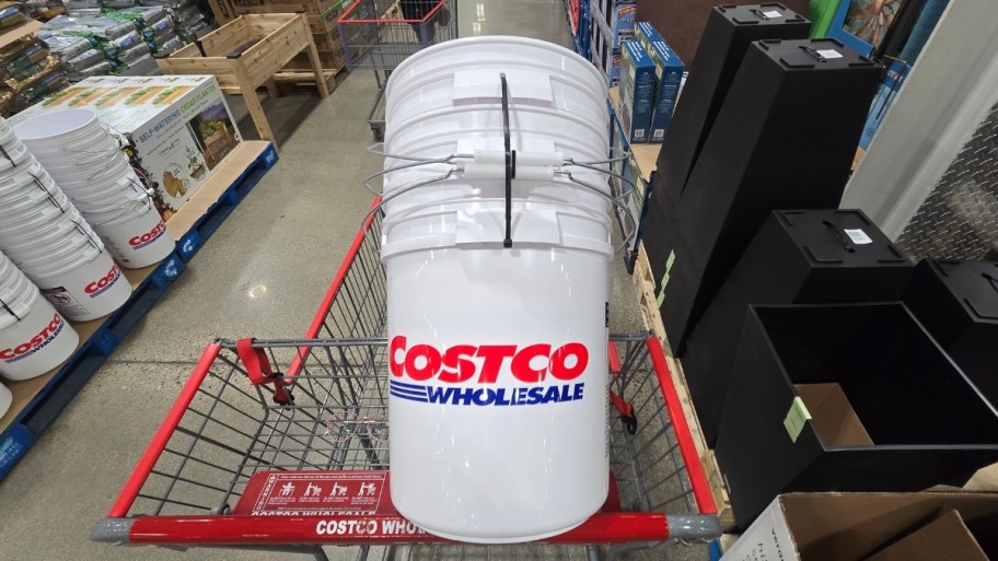 3 costco 5 gallon buckets in a shopping cart