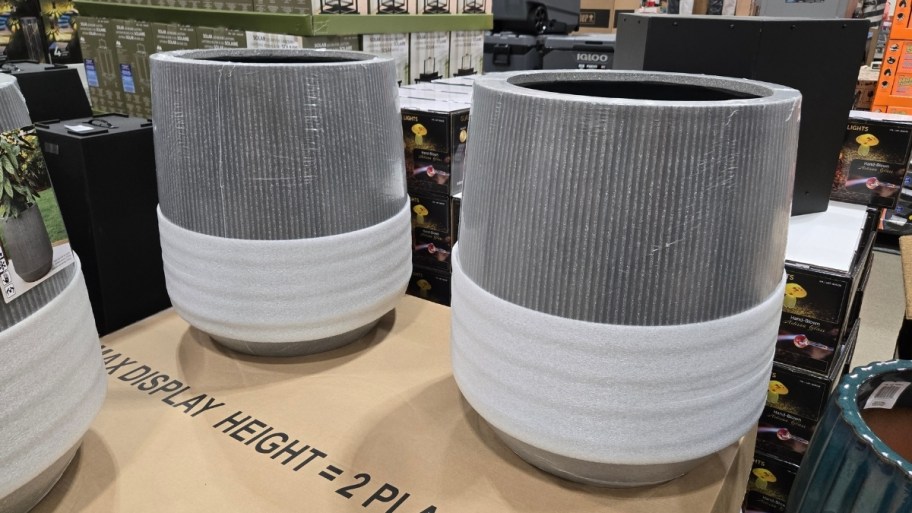 two large gray planters