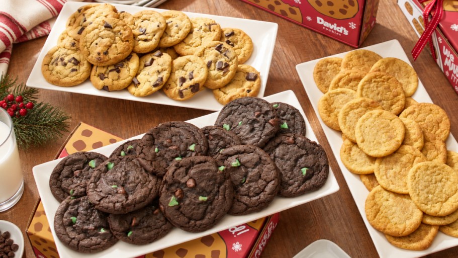 David’s Ready-to-Bake Cookies 174-Count Just $39.98 Shipped (Reg. $73)