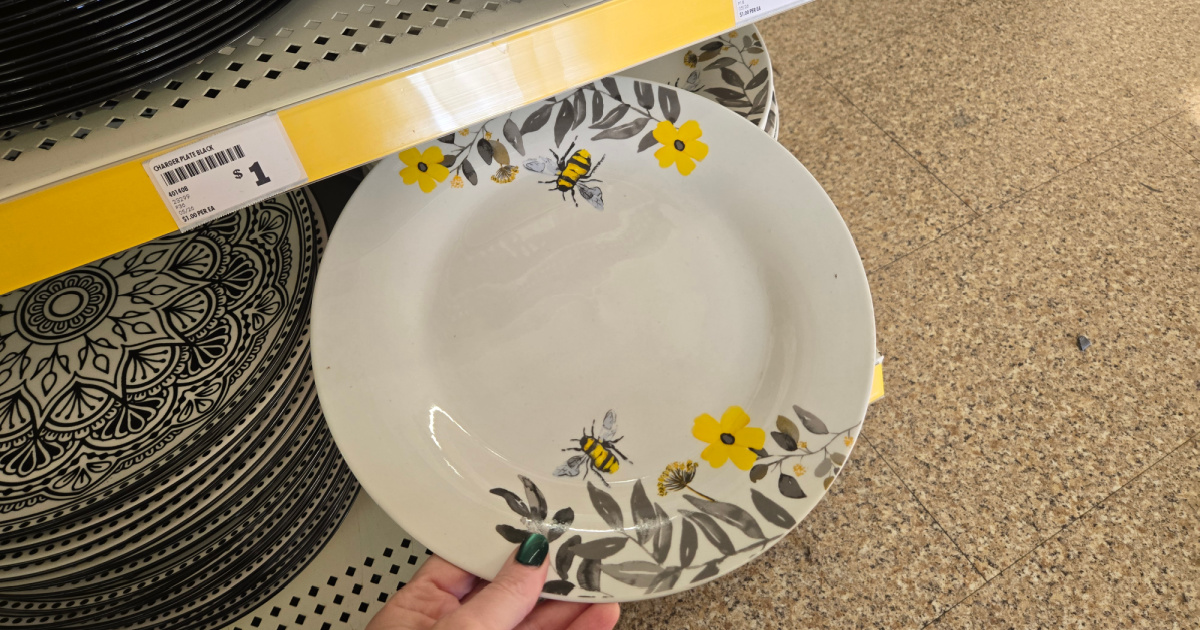 These Popular Spring Dishes Are Back at Dollar Tree for Only $1!