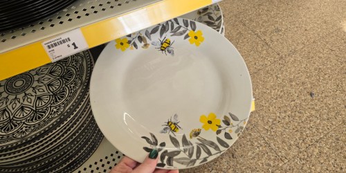 These Popular Spring Dishes Are Back at Dollar Tree for Only $1!