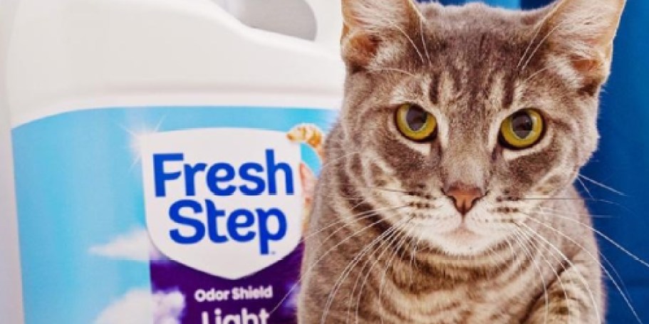 FREE Fresh Step Cat Litter When You Adopt a Cat (+ Free Adoption Fees!)