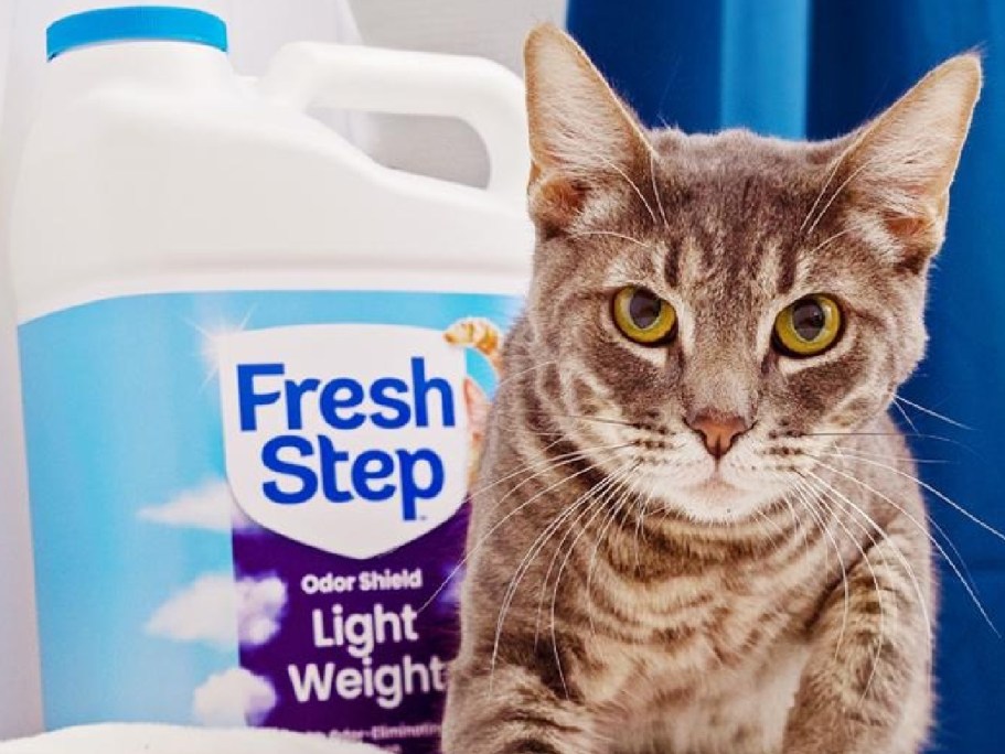 FREE Fresh Step Cat Litter When You Adopt a Cat (+ Free Adoption Fees!)