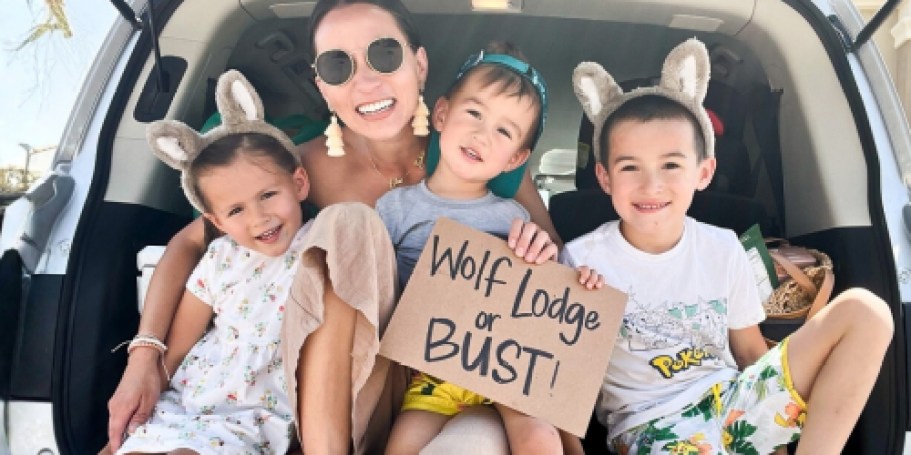 Book a Stay at Great Wolf Lodge for Just $26/Per Person – Today Only!