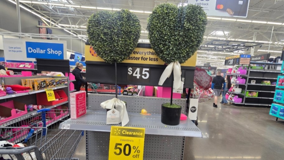 Heart shaped topiary on store shelf
