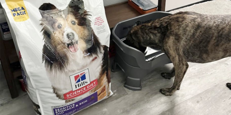 Hill’s Science Diet Dog Food 30lb Bag Only $26.99 Shipped on Amazon (Reg. $90)