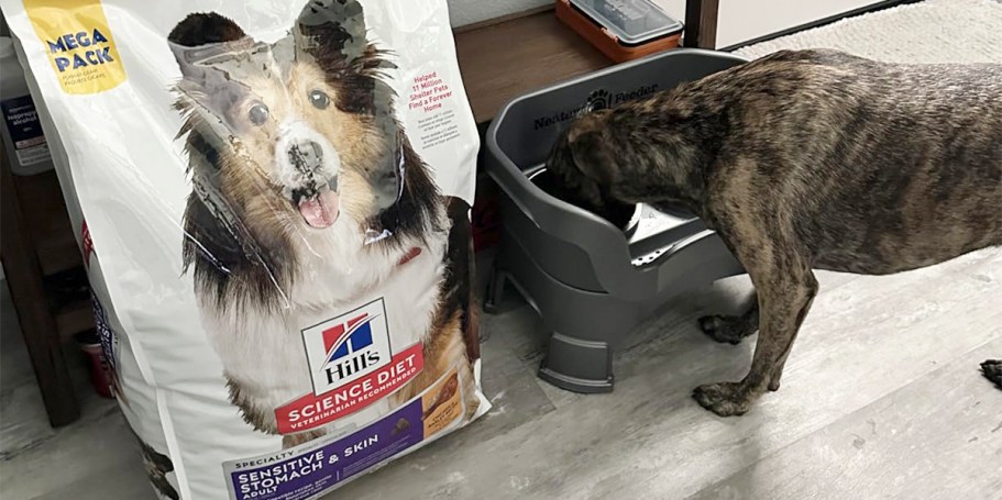 Hill’s Science Diet Dog Food 30lb Bag Only $26.99 Shipped on Amazon (Reg. $90)