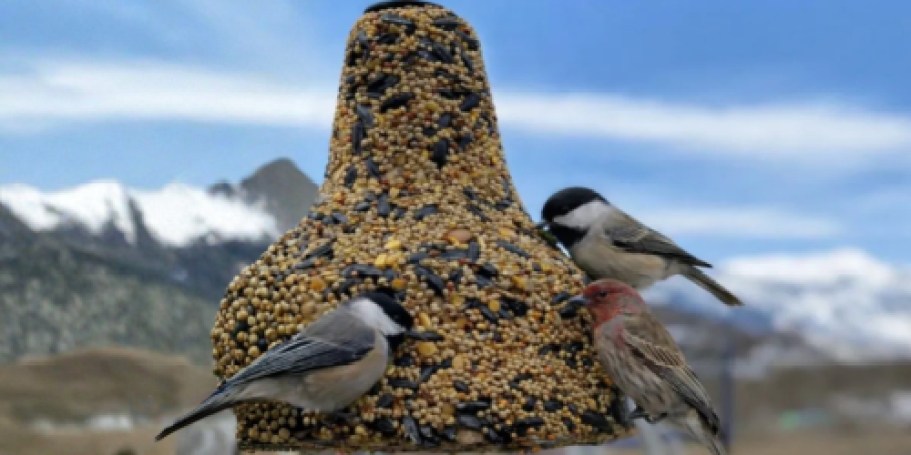 Kaytee Wild Bird Seed Bell Only $3.79 Shipped on Amazon (Reg. $13)