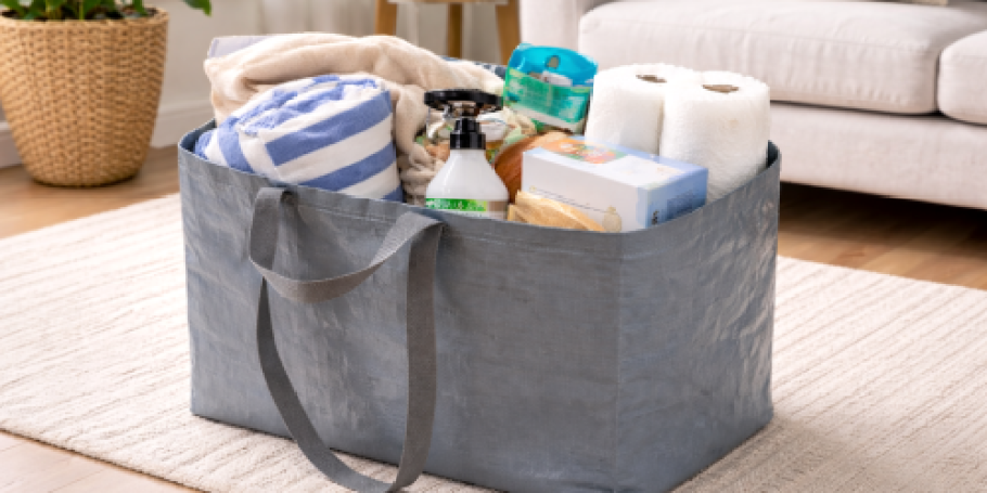 GO! Extra-Large Storage Bag Only $1.96 on Walmart.com