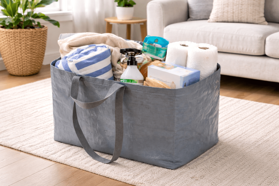 GO! Extra-Large Storage Bag Only $1.96 on Walmart.com
