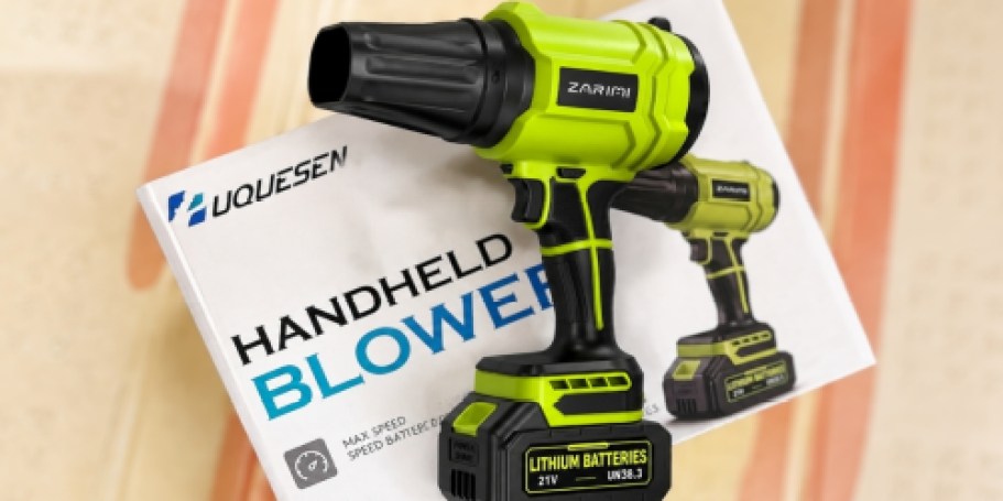 Cordless Leaf Blower w/ 2 Batteries & Charger Just $29.99 Shipped on Amazon (Reg. $60)