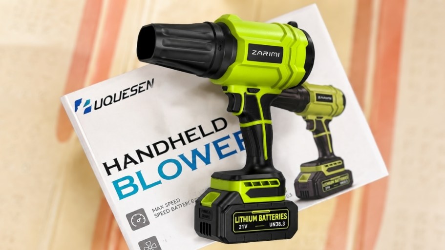 Cordless Leaf Blower w/ 2 Batteries & Charger Just $29.99 Shipped on Amazon (Reg. $60)