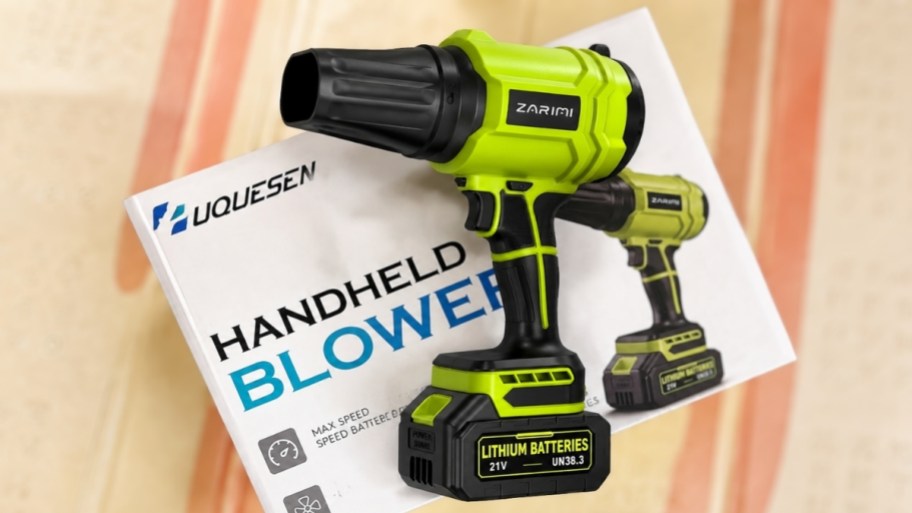 a small leaf blower