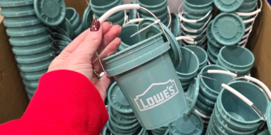 Lowe’s Viral Mini Buckets Are Back In a Fresh Shade for Spring (May Sell Out!)