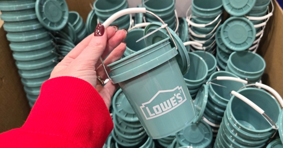 Lowe’s Viral Mini Buckets Are Back In a Fresh Shade for Spring (May Sell Out!)