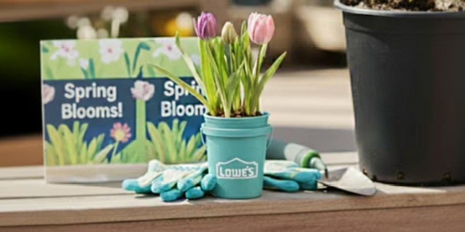 Lowe’s Viral Mini Buckets Are Back In a Fresh Shade for Spring