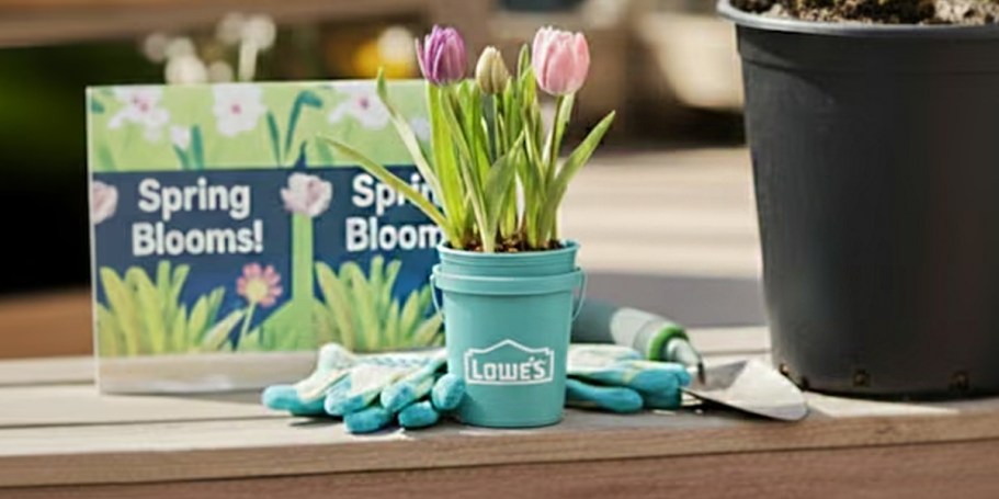 Lowe’s Viral Mini Buckets Are Back In a Fresh Shade for Spring