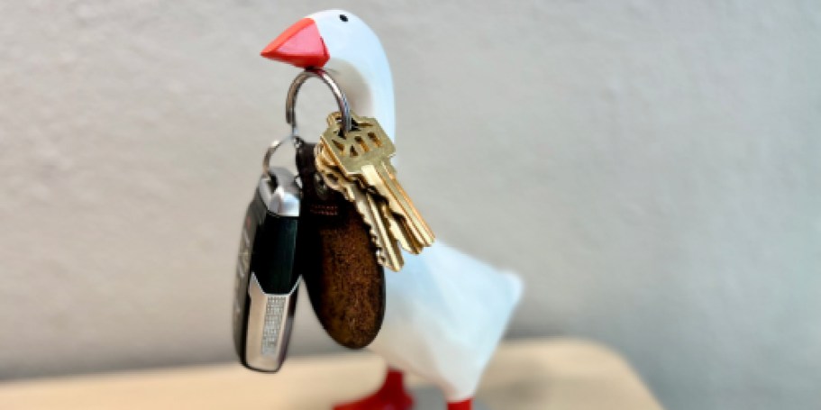 Love Your Porch Goose? Get 50% Off This Magnetic Goose for Your Desk!