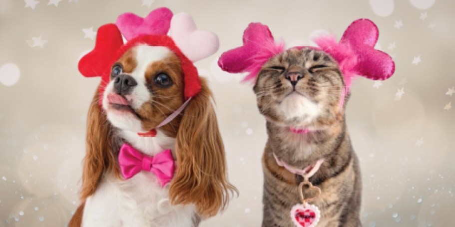 FREE PetSmart Valentine’s Event on 2/14 (Enjoy Photo Ops & Treats + $5 Coupon)