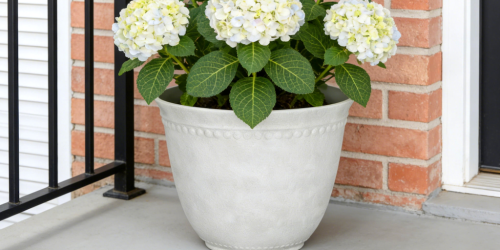 7 My Texas House Finds You’ll Want Before They’re Gone