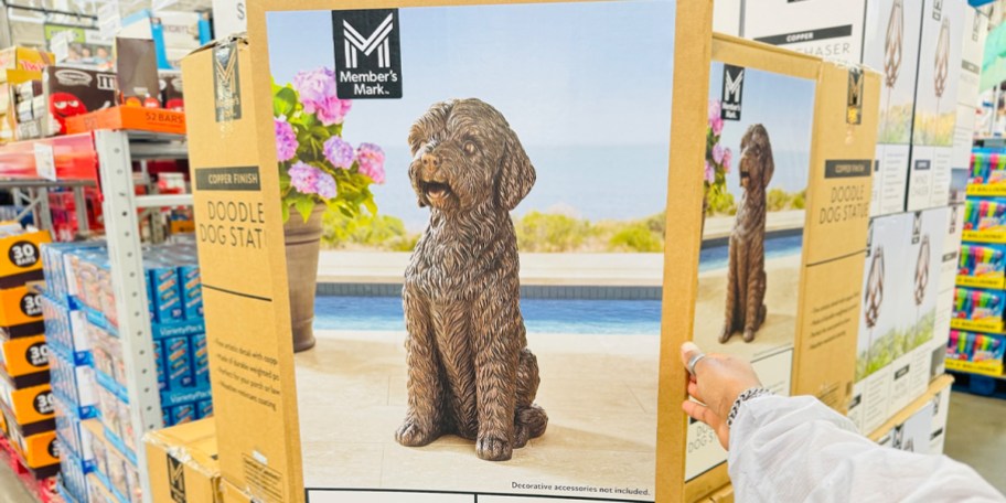 hand reaching for doodle statue box