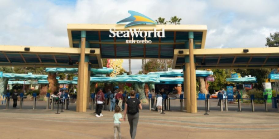 SeaWorld San Diego & Sesame Place Tickets from $51 Per Day