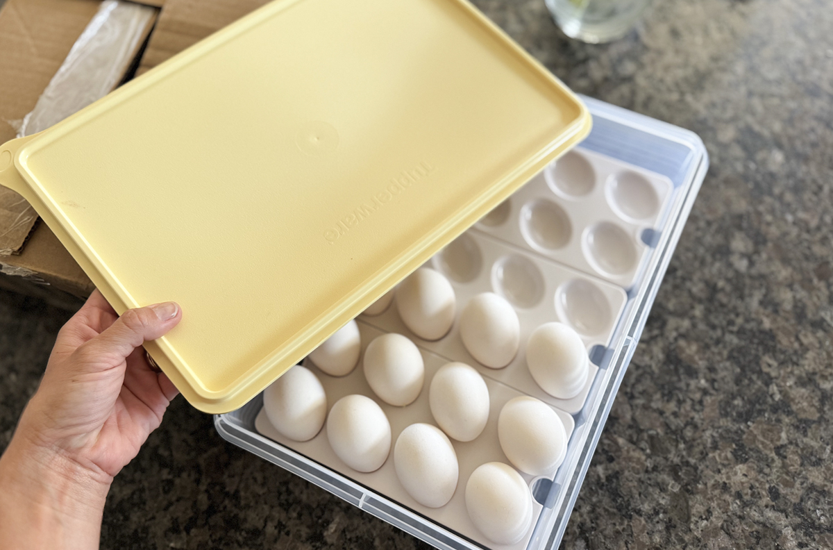 Tupperware Snack-Stor Container w/ 3 Inserts from $27 Shipped