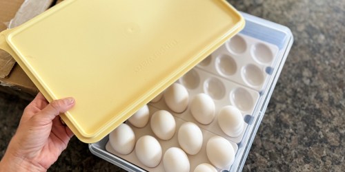 Tupperware Snack-Stor Container w/ 3 Inserts from $27 Shipped