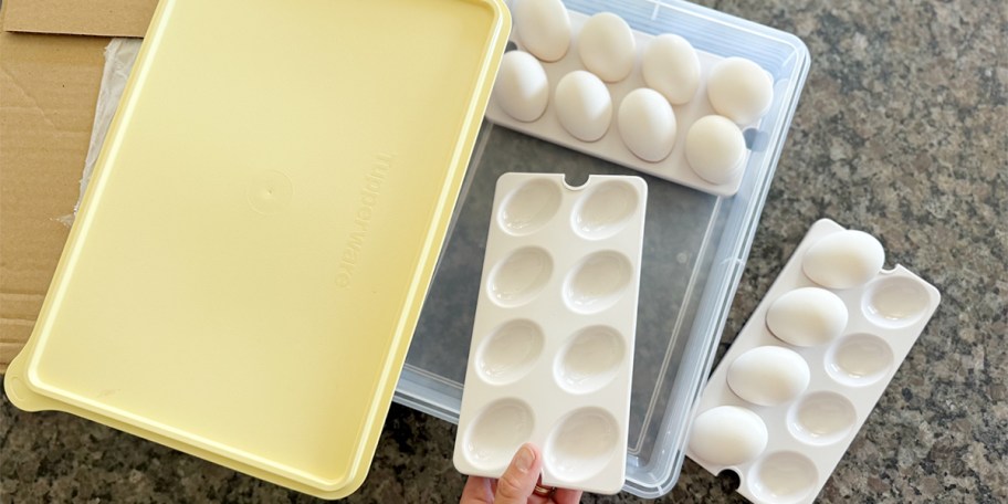 Storage container with egg insert and yellow lid 