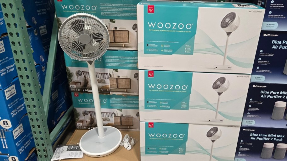 an oscillating fan on a store shelf