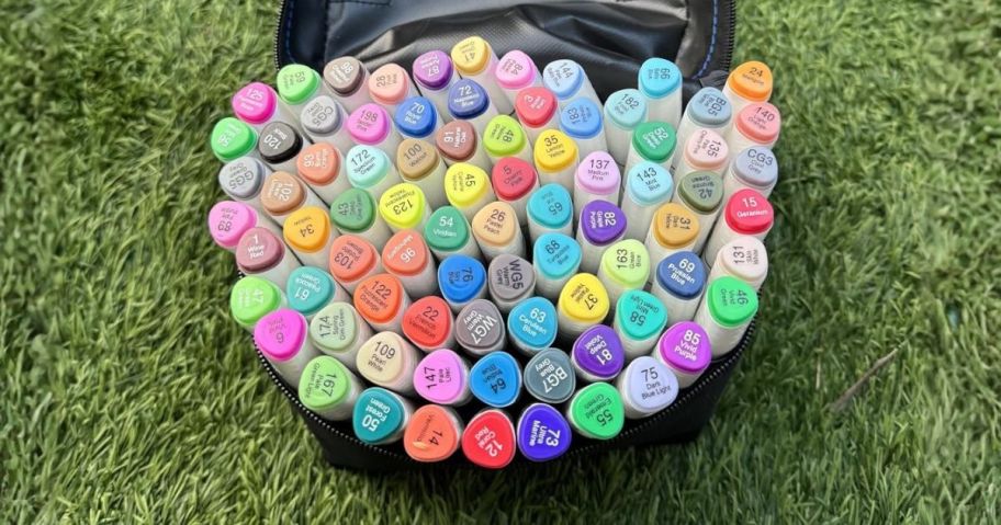 WELLOKB Alcohol Marker Set of 80 Grass