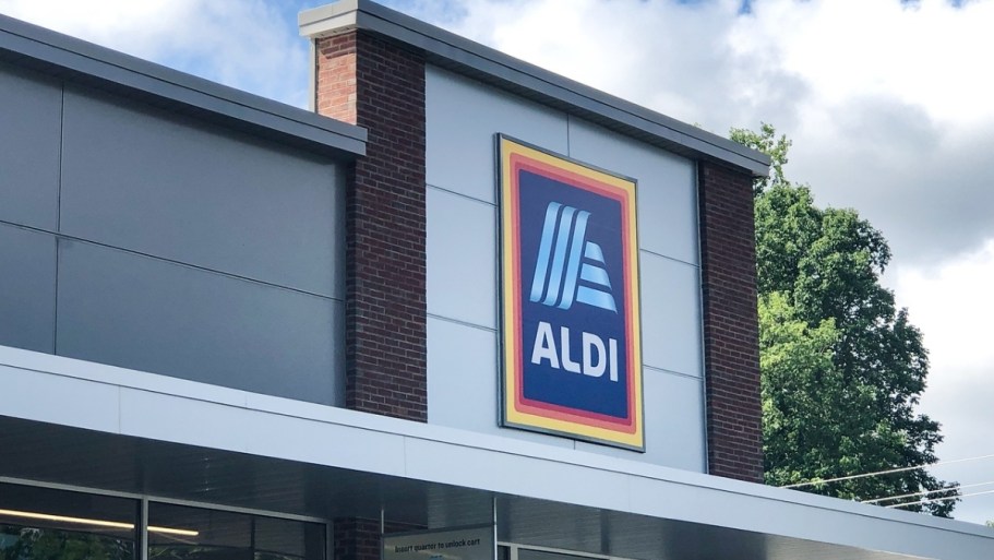 The Easter Goodies You Have to See at ALDI This Week | Nee Doh Eggs, Flocked Bunnies & More