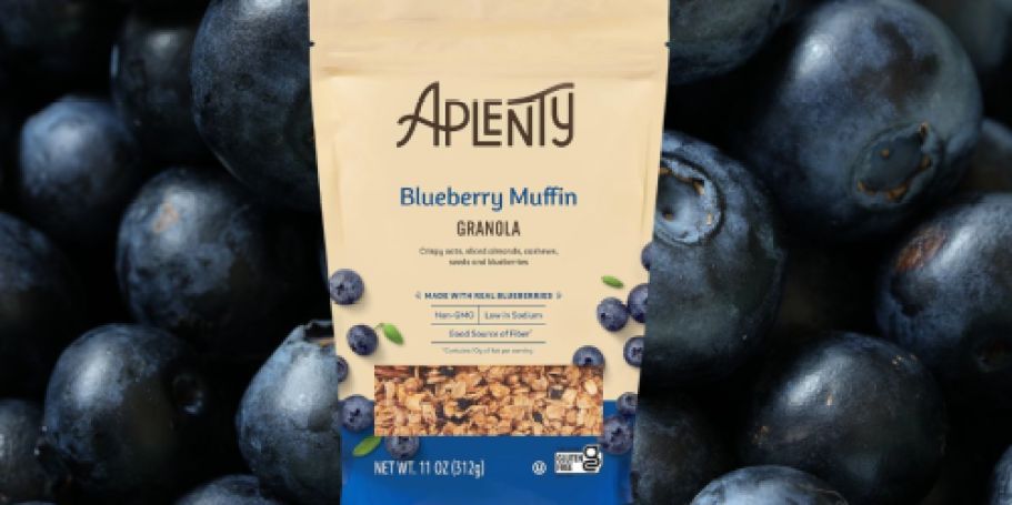 Aplenty Blueberry Muffin Granola Only $1.59 Shipped on Amazon