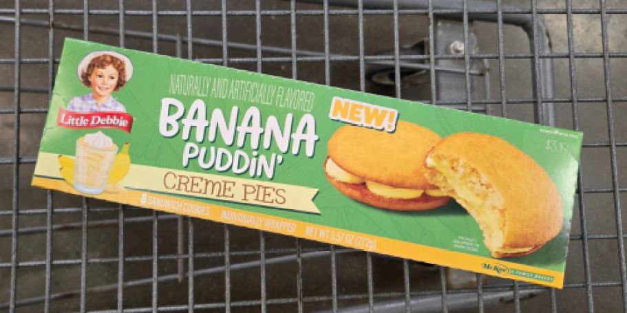 Have You Seen the NEW Little Debbie Snacks?
