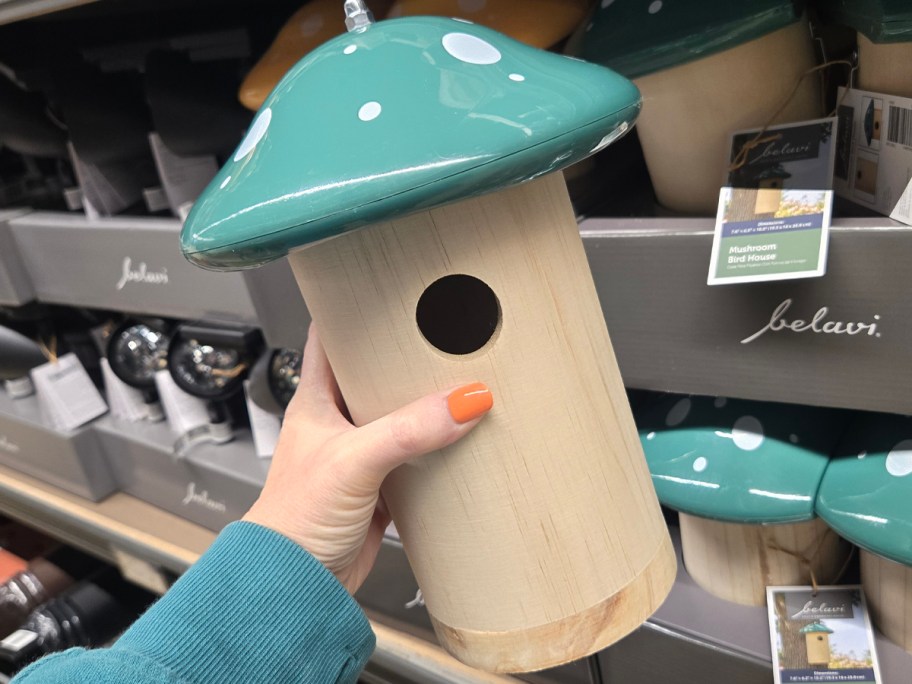 Belavi Mushroom Bird House